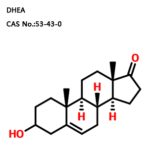 去氢表雄酮（DHEA）CAS:53-43-0